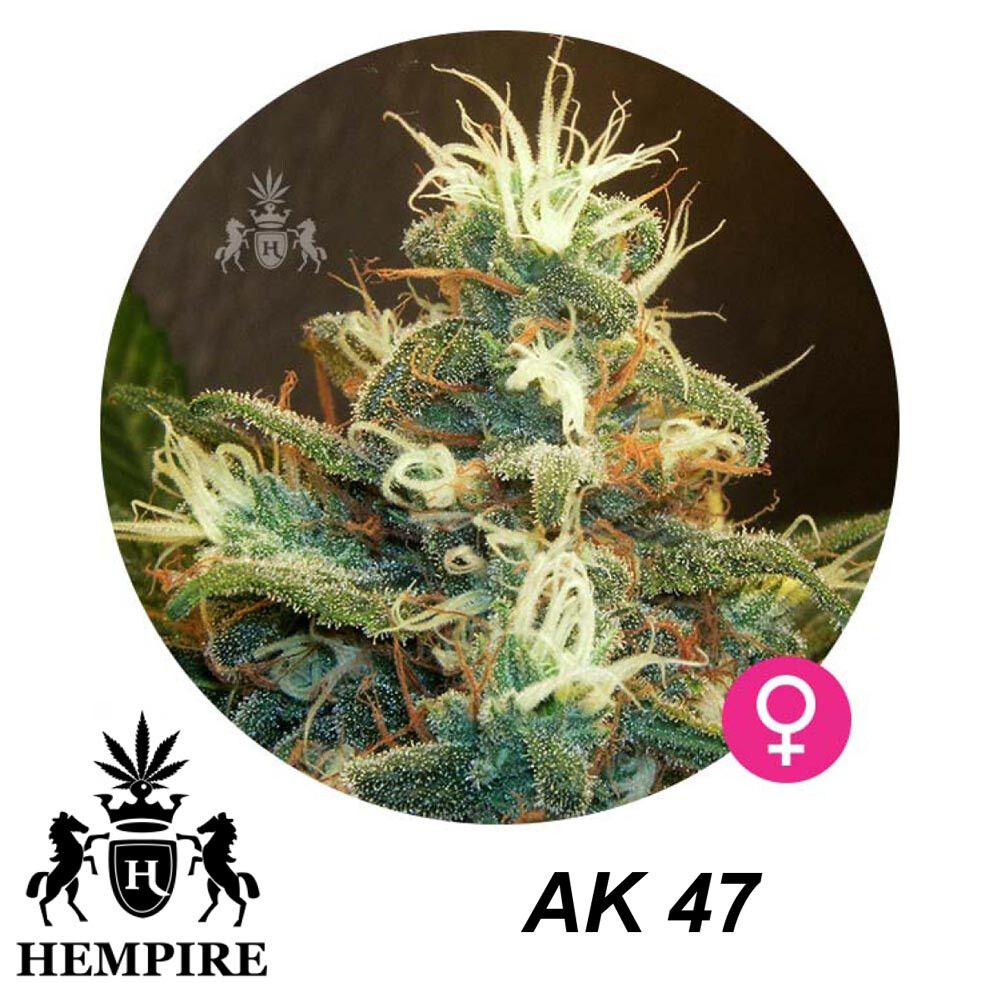 Hempire Seeds Ak-47 5 Pcs (Fem)