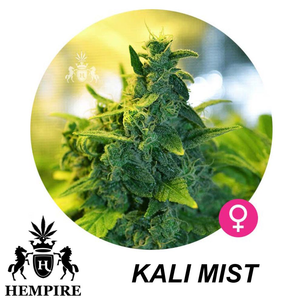 Hempire Seeds Kali Mist 5 Pcs (Fem)