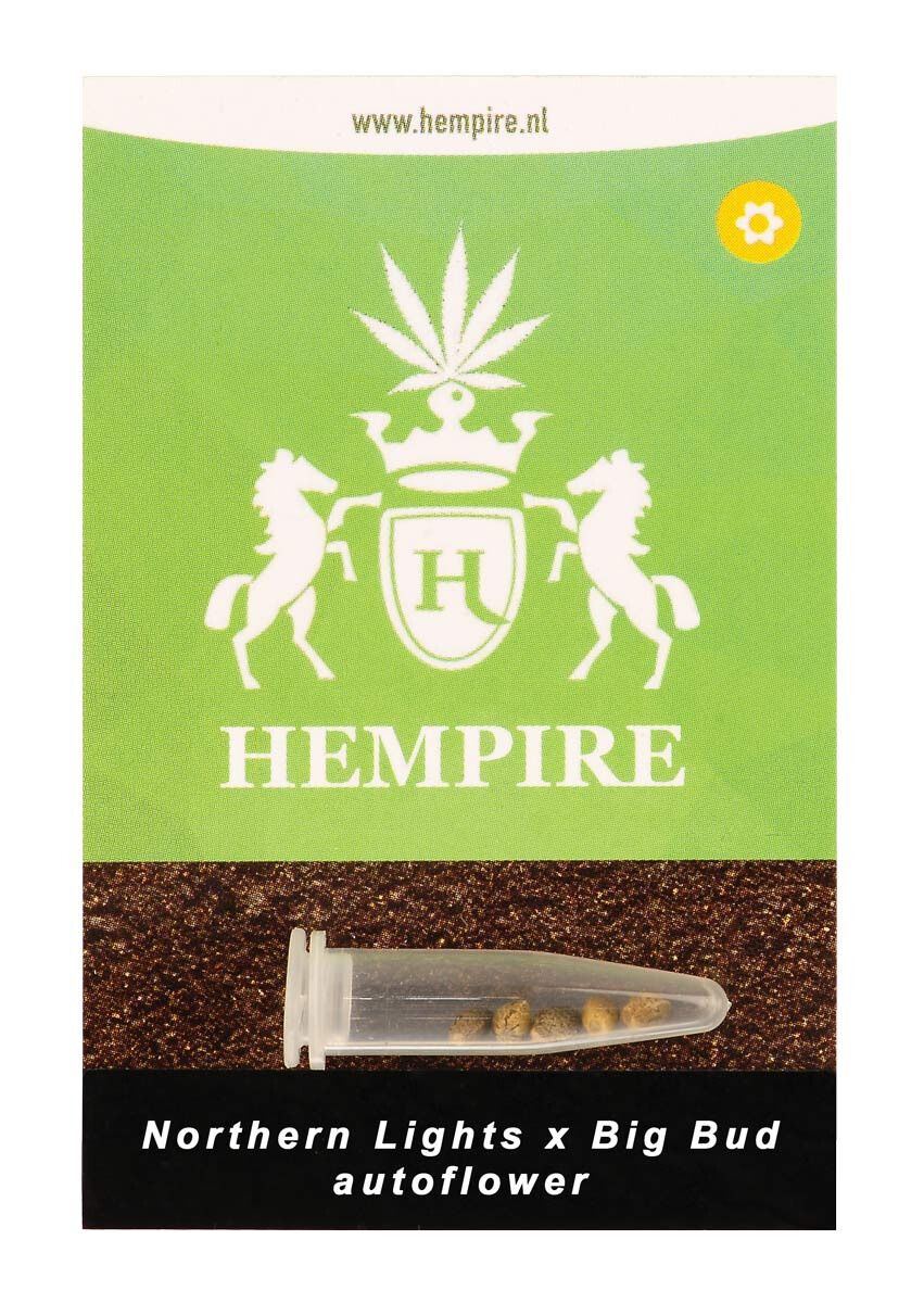 Hempire Seeds Northern Lights X Big Bud 5 Pcs (Auto)